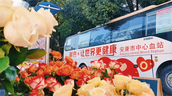 安康這三兄妹，熱血！